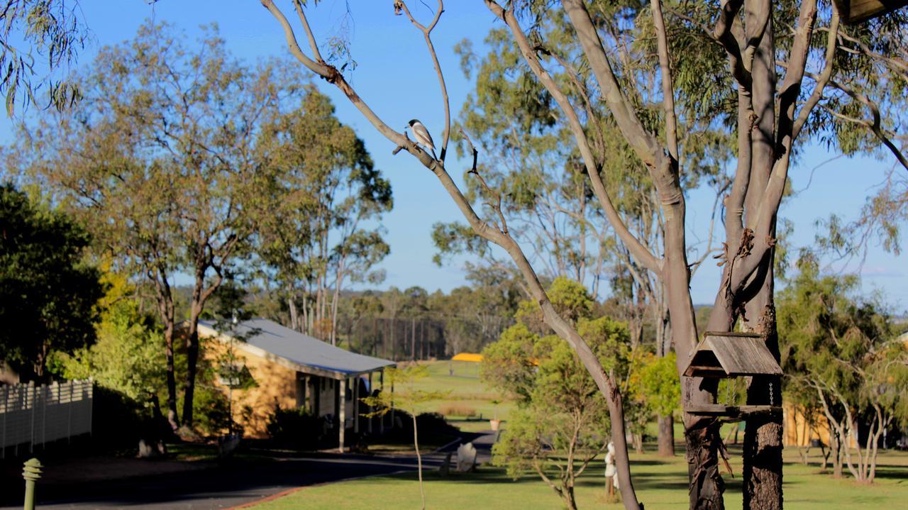 Lockyer Motel Helidon ภายนอก รูปภาพ